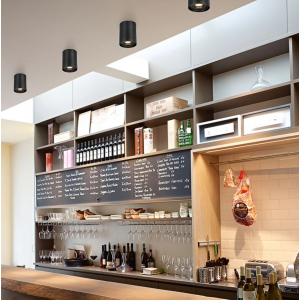 Cata CT-5421 Foça Sıva Üstü Led Beyaz-Platin Boş Kasa Gu10 Duy